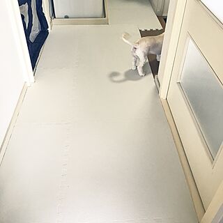 ジョイントマット 子供と犬と暮らすのインテリア実例 Roomclip ルームクリップ