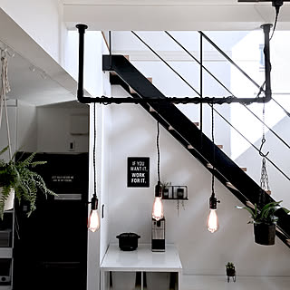 コウモリラン/ペンダントライト/観葉植物のある暮らし/DIY/キッチンインテリア...などのインテリア実例 - 2020-02-24 11:59:30