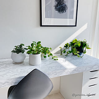 〇〇のある暮らし/白黒/北欧/みどりのある暮らし/積水ハウス...などのインテリア実例 - 2020-01-23 14:35:03