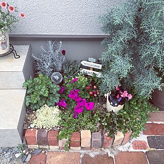 レンガ 花壇のおしゃれなインテリアコーディネート レイアウトの実例 Roomclip ルームクリップ