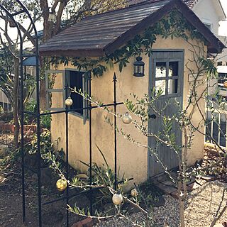 ベッド周り/植物/ガーデン/DIY/DIY小屋のインテリア実例 - 2017-01-10 11:27:48