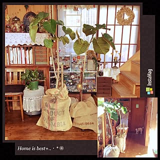 リビング/おはようございます♪(๑ᴖ◡ᴖ๑)♪/何時も有難う御座います♡/毎日がHappy♡/Home is best+..・* ❁...などのインテリア実例 - 2015-02-06 10:29:41