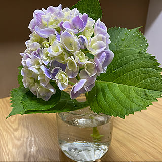 一輪挿し アジサイのおしゃれなアレンジ 飾り方のインテリア実例 Roomclip ルームクリップ