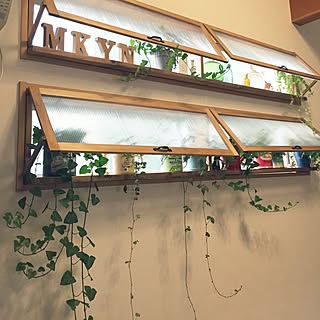 観葉植物 窓枠をdiyのインテリア 手作りの実例 Roomclip ルームクリップ