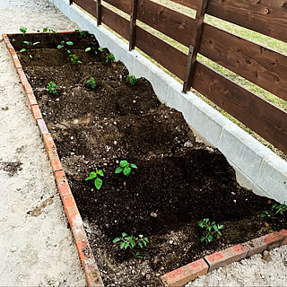 庭づくり初心者のインテリア実例 Roomclip ルームクリップ