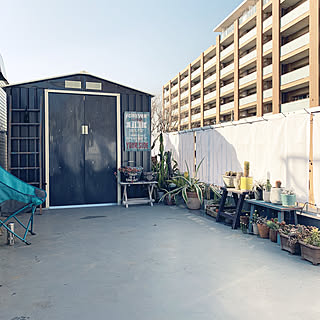 多肉植物/NO GREEN NO LIFE/グリーンのある暮らし/植物のある暮らし/観葉植物...などのインテリア実例 - 2020-02-24 14:57:44