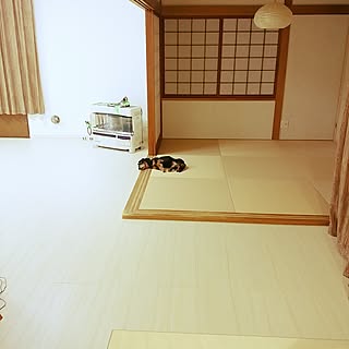 和室 白いフローリングのインテリア実例 Roomclip ルームクリップ