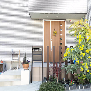 玄関 入り口 植木のインテリア実例 Roomclip ルームクリップ 玄関 入り口 植木のインテリア実例 Roomclip ルームクリップ