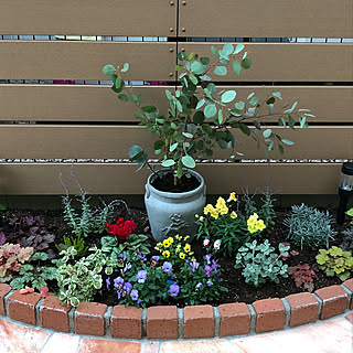 花壇 バロータのおしゃれなインテリアコーディネート レイアウトの実例 Roomclip ルームクリップ