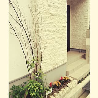 玄関/入り口/植物/玄関アプローチ/NO GREEN NO LIFE/ラグナロックモデリッサのインテリア実例 - 2015-06-18 20:15:50