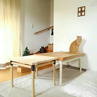 猫diyのインテリア 手作りの実例 Roomclip ルームクリップ