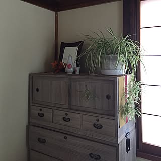 浅草橋 造花 問屋街のインテリア実例 Roomclip ルームクリップ