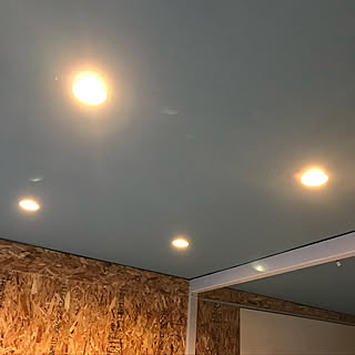 壁 天井 ヨドガレージのインテリア実例 Roomclip ルームクリップ