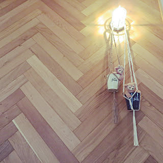 ダイソー タコ糸のまとめページ Roomclip ルームクリップ