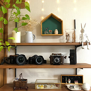 地震対策せねば。。/SONY ミラーレス一眼/SONY α7II/ガチャ棚/大人の科学の二眼レフ...などのインテリア実例 - 2020-08-17 21:43:35