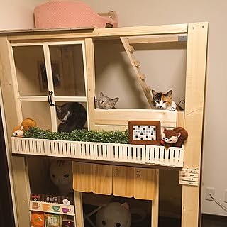 キャットハウスのインテリア実例 Roomclip ルームクリップ