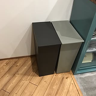 キッチン/ゴミ箱/おしゃれ/アメリカン/インダストリアル...などのインテリア実例 - 2017-04-10 23:56:35