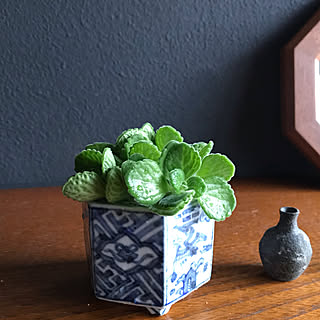 アロマティカス水挿しのインテリア実例 Roomclip ルームクリップ アロマティカス水挿しのインテリア実例 Roomclip ルームクリップ