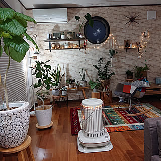 暖房器具 観葉植物のある暮らしのインテリア実例 Roomclip ルームクリップ