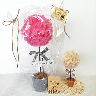 ベッド周り/akiraちゃんのトピアリー♡/akiraちゃんの作品♡/minneで購入♡/母の日のプレゼント♡/トピアリー...などのインテリア実例 - 2019-05-04 11:17:26