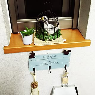 キッチン/アヒル/グリーンモス/100均/ブリキバケツ...などのインテリア実例 - 2017-03-09 20:03:18