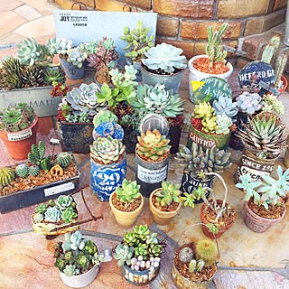 女性の、Other、の「玄関/入り口」についてのインテリア実例