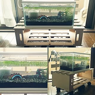 メダカ すのこdiyのインテリア 手作りの実例 Roomclip ルームクリップ