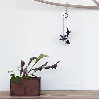 2020.5.25☀️/流木ハンガー/古道具のある暮らし/カラーの花/南部鉄の燕鈴...などのインテリア実例 - 2020-05-25 17:46:25