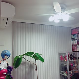 綾波レイのインテリア実例 Roomclip ルームクリップ 綾波レイのインテリア実例 Roomclip ルームクリップ