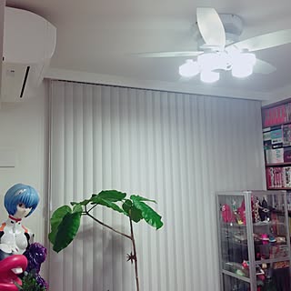 綾波レイのインテリア実例 Roomclip ルームクリップ