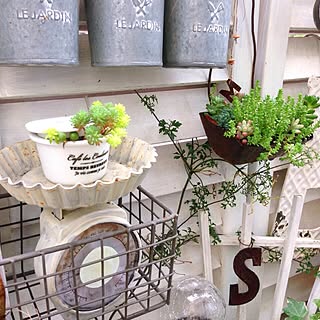 壁/天井/多肉を愉しむ/古道具×GREEN/100均リメイク/スケールリメイク...などのインテリア実例 - 2015-06-18 08:56:50