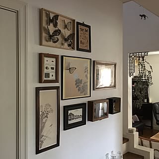 蝶 標本箱のインテリア実例 Roomclip ルームクリップ