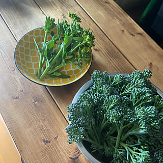 玄関 入り口 ブロッコリーのインテリア実例 Roomclip ルームクリップ 玄関 入り口 ブロッコリーのインテリア実例 Roomclip ルームクリップ