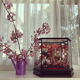 リノベーション/ライラック/じょうろ/カラックス/満開...などのインテリア実例 - 2020-02-25 00:02:53