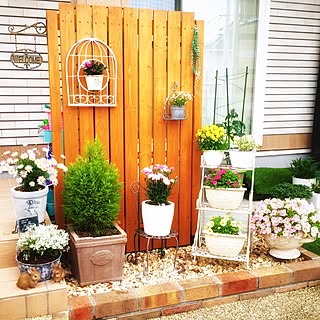 玄関 入り口 ガーデニングスペースdiyのインテリア 手作りの実例 Roomclip ルームクリップ 玄関 入り口 ガーデニングスペースdiyのインテリア 手作りの実例 Roomclip ルームクリップ