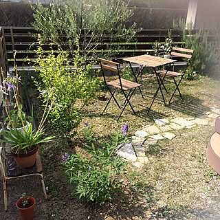 多肉植物 雑草だらけのインテリア実例 Roomclip ルームクリップ