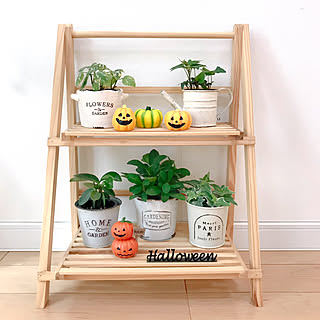 棚/シャンブルのラック/100均だらけ/ミニ観葉植物/ハロウィン...などのインテリア実例 - 2018-10-14 22:29:02