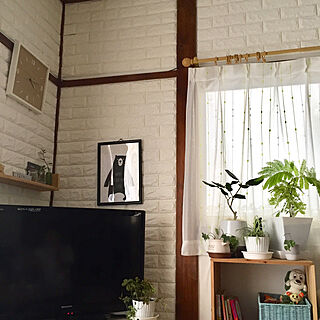 花みどりマーケット 楽天市場店 観葉植物のおすすめ家具 インテリア 全40件 Roomclip Item