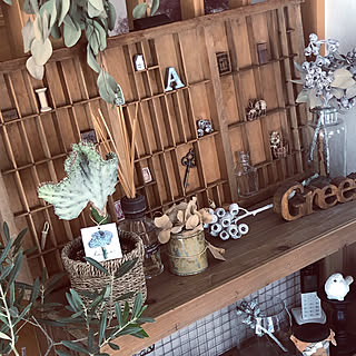 多肉植物 ユーフォルビア マハラジャのインテリア実例 Roomclip ルームクリップ