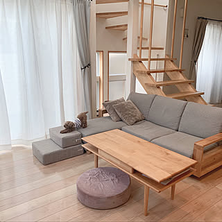 リビング ペットステップのインテリア実例 Roomclip ルームクリップ
