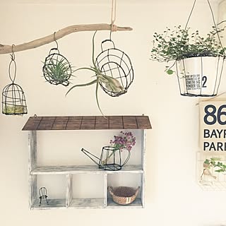 女性の、4LDK、家族住まいの「壁/天井」についてのインテリア実例