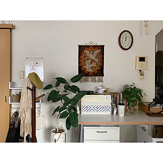 ベルメゾン ポールハンガーのおしゃれなアレンジ 飾り方のインテリア実例 Roomclip ルームクリップ