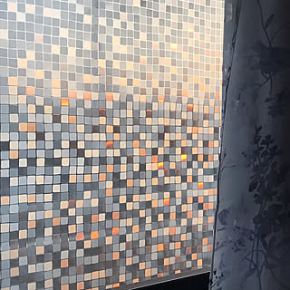 掃き出し窓 窓用フィルムのインテリア実例 Roomclip ルームクリップ