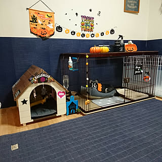 部屋全体/ハロウィン/2017年9月29日/RCの出会いに感謝♡/いいね&フォローありがとうございます☆...などのインテリア実例 - 2017-09-29 06:59:51