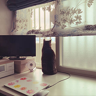 作り付けデスク/窓辺の猫/ねこが好き/ねこのいる日常/机...などのインテリア実例 - 2020-07-09 09:42:54