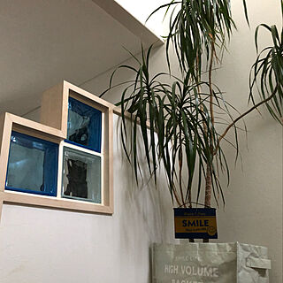 ガラスブロック/階段途中/観葉植物/IKEAのインテリア実例 - 2020-05-25 22:35:09