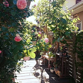 マリアテレジアのインテリア実例 Roomclip ルームクリップ