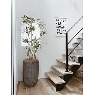 ソングオブインディアのインテリア実例 Roomclip ルームクリップ