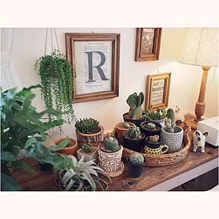 棚/SLOW HOUSE /ニトリ/サボテン/ボタニカルのインテリア実例 - 2015-04-19 13:03:16