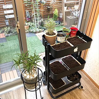 女性の、4LDK、家族住まいの「棚」についてのインテリア実例